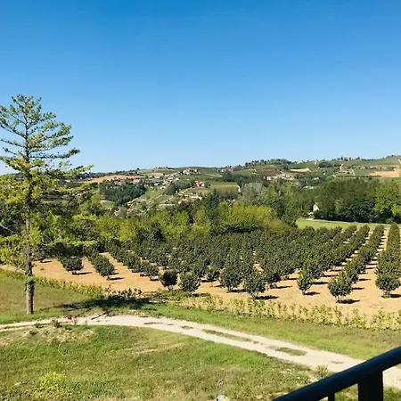 In The Langhe With Vineyard