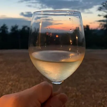 In The Langhe With Vineyard * Dogliani