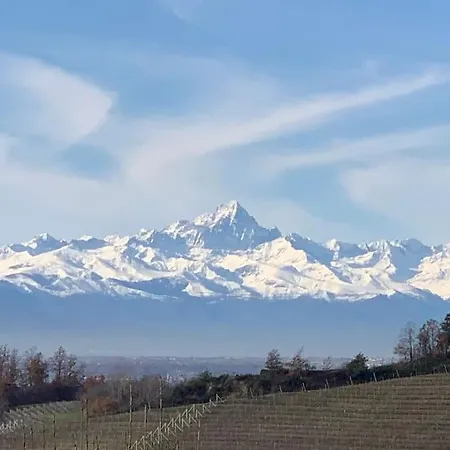 In The Langhe With Vineyard
