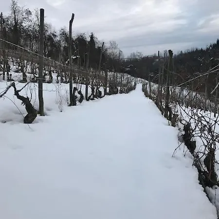 Prázdninový dům In The Langhe With Vineyard *